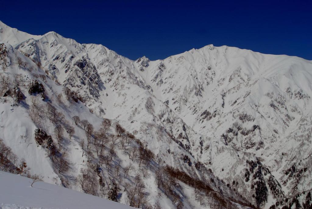 Bears Den Mountain Lodge Hakuba Exterior photo