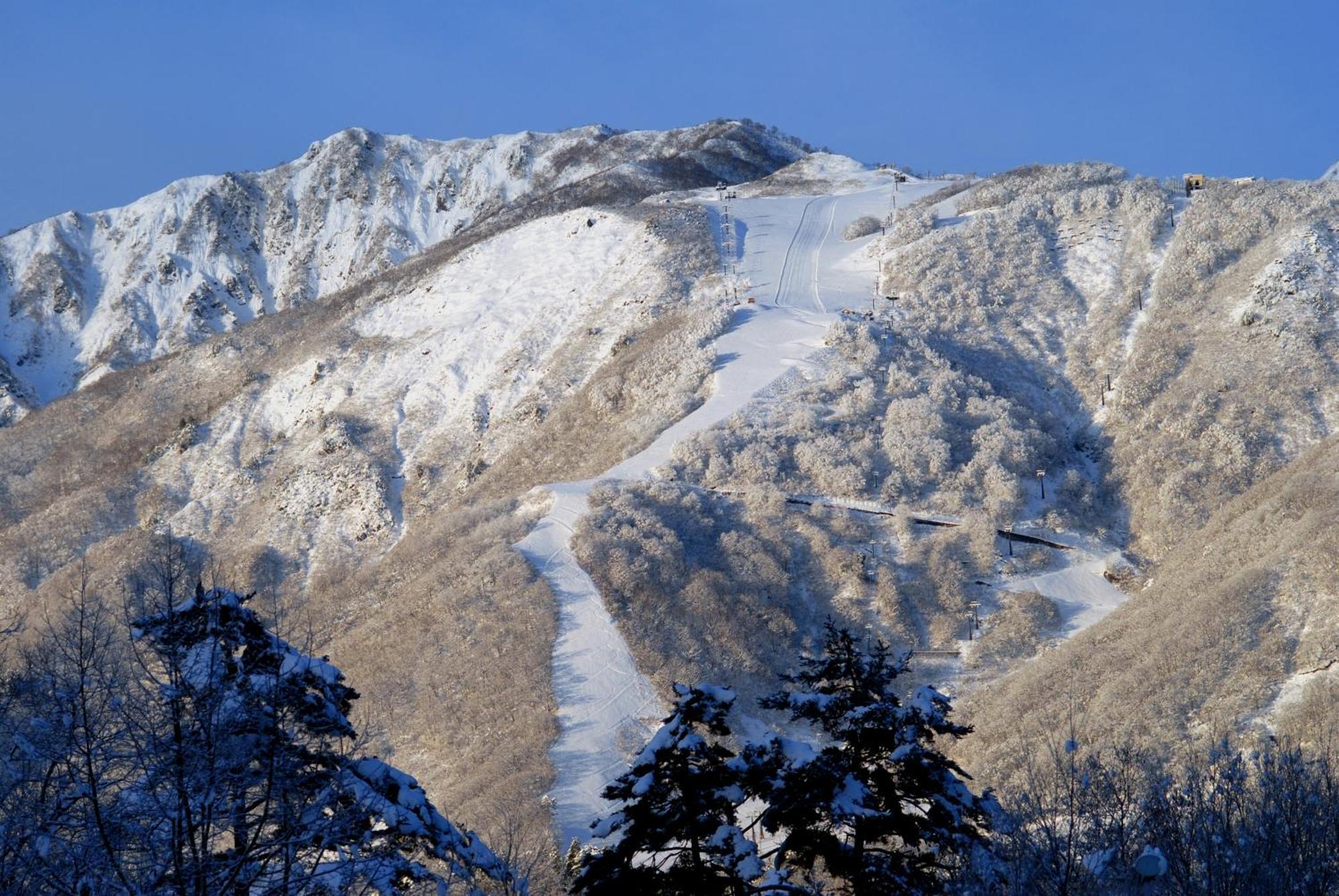 Bears Den Mountain Lodge Hakuba Exterior photo